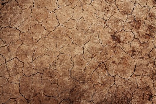arid-g01c594b30_640