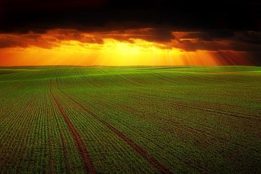 field-g357e70dc8_640