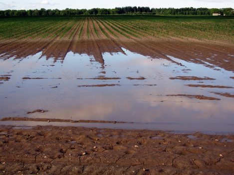 fields-gc3b98c4b0_640