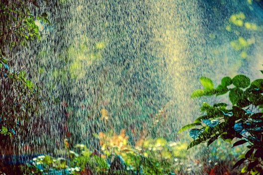 sprinkler-gbc8ffa307_640