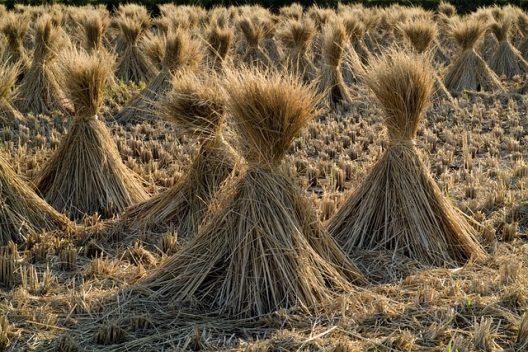 straw-ga97ba40d7_640