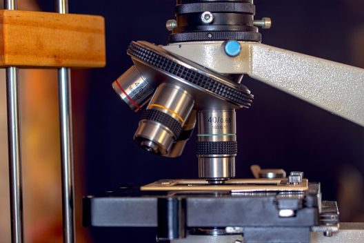 microscope-g71807a9a5_640