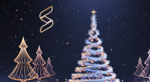 Captura de pantalla 2024-12-18 133331